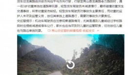 秀山在线曝光爆料视频最新,揭秘某事件背后惊人真相！